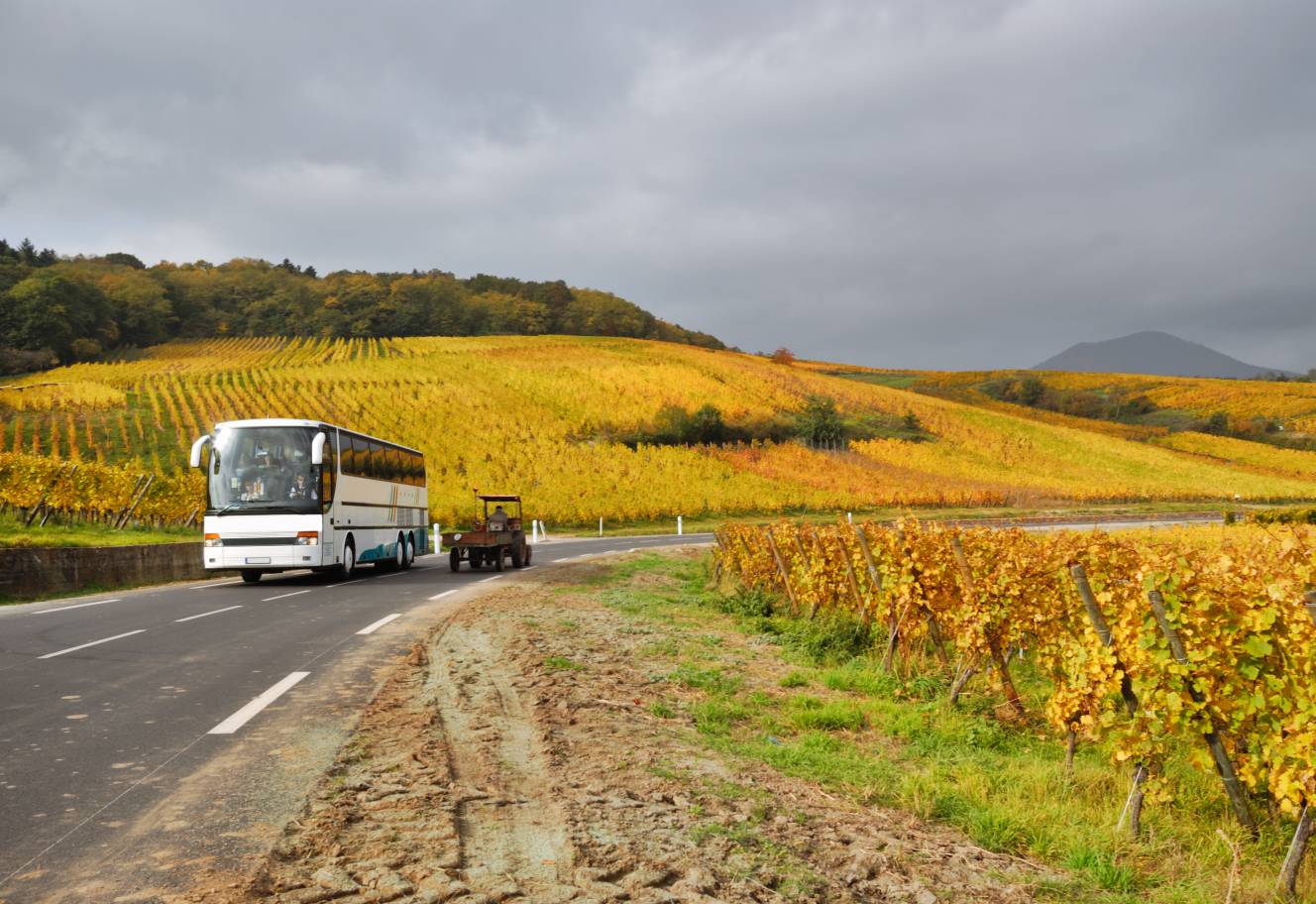 Navette de bus: Courtes distances jusqu'à Europapark - Hotel La Toscana
