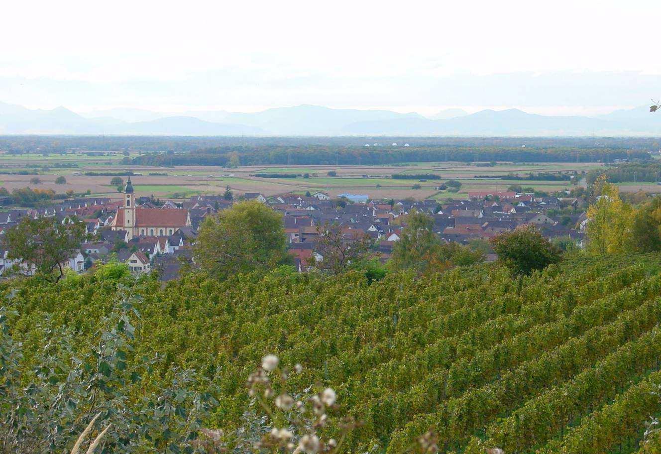 Ringsheim